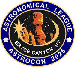 ALCon 2025 Lapel Pin